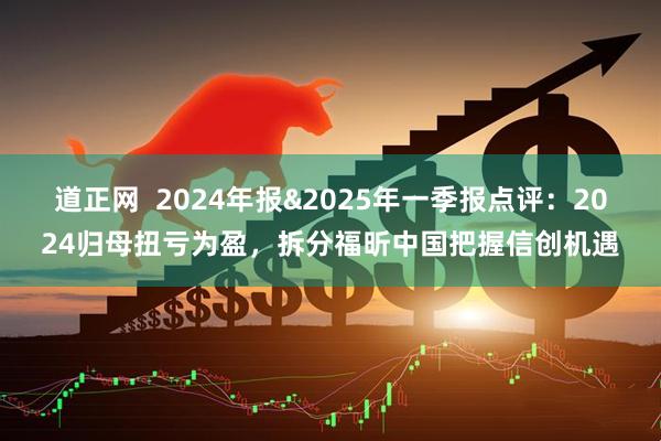 道正网  2024年报&2025年一季报点评：2024归母扭亏为盈，拆分福昕中国把握信创机遇