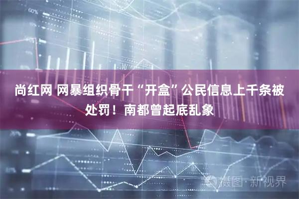 尚红网 网暴组织骨干“开盒”公民信息上千条被处罚！南都曾起底乱象
