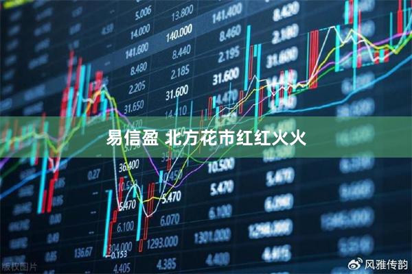 易信盈 北方花市红红火火