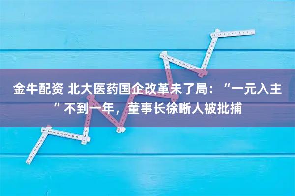 金牛配资 北大医药国企改革未了局：“一元入主”不到一年，董事长徐晰人被批捕
