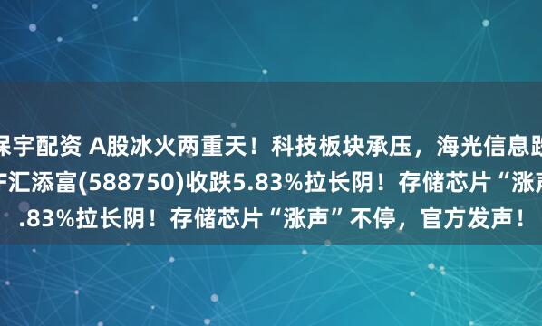 保宇配资 A股冰火两重天！科技板块承压，海光信息跌近7%，科创芯片ETF汇添富(588750)收跌5.83%拉长阴！存储芯片“涨声”不停，官方发声！